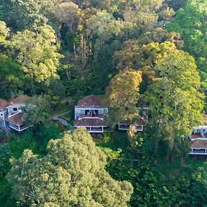 The Tall Trees Resort Munnar